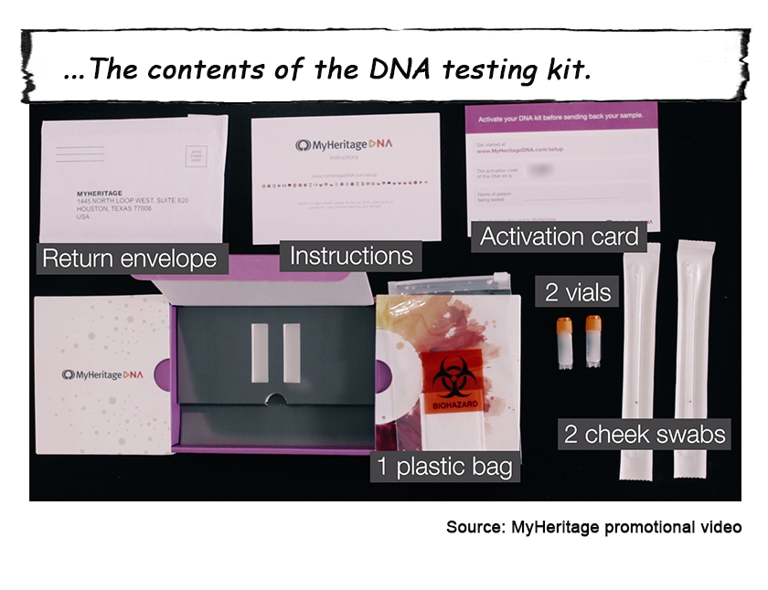 MyHeritage_DNA 5.png