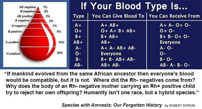 Blood type o