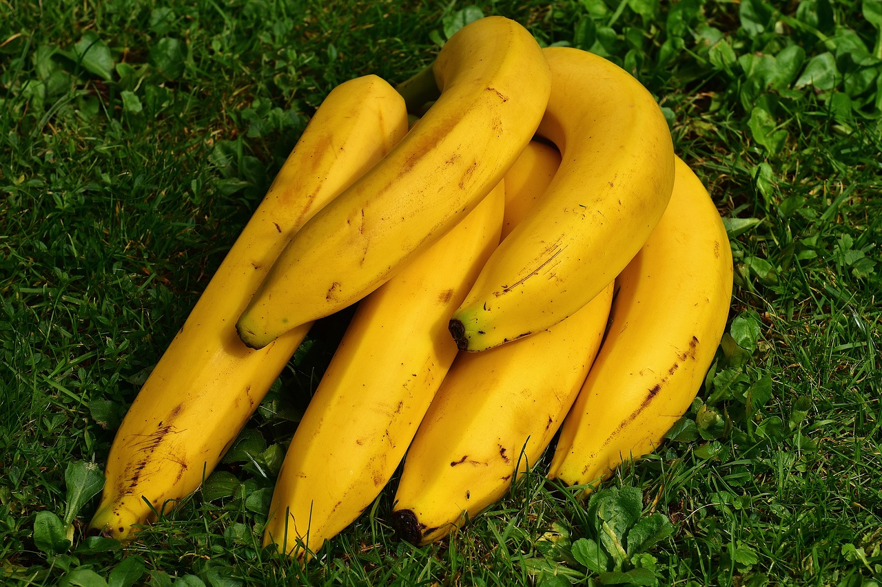 bananas.jpg