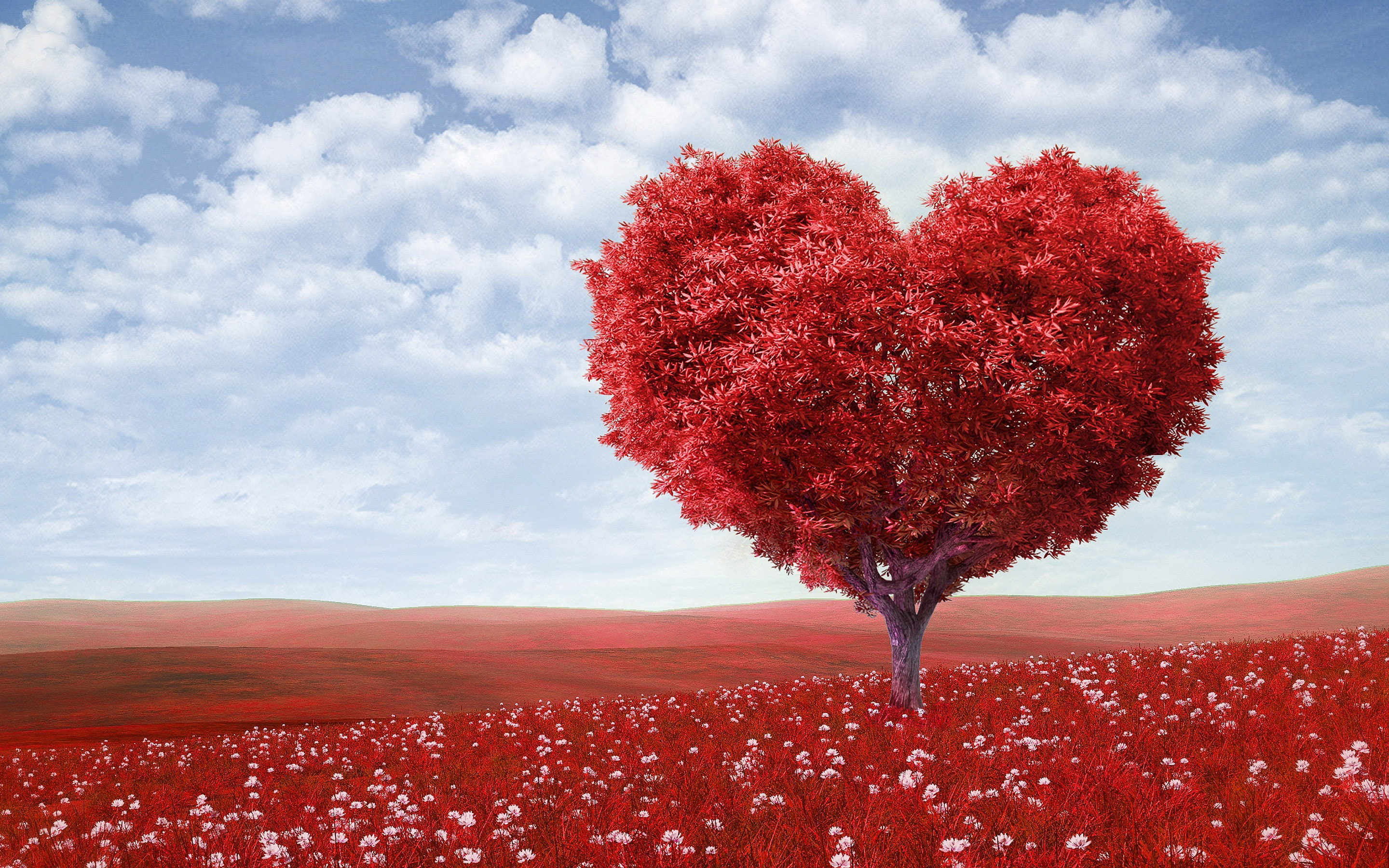 love-wallpaper.jpg