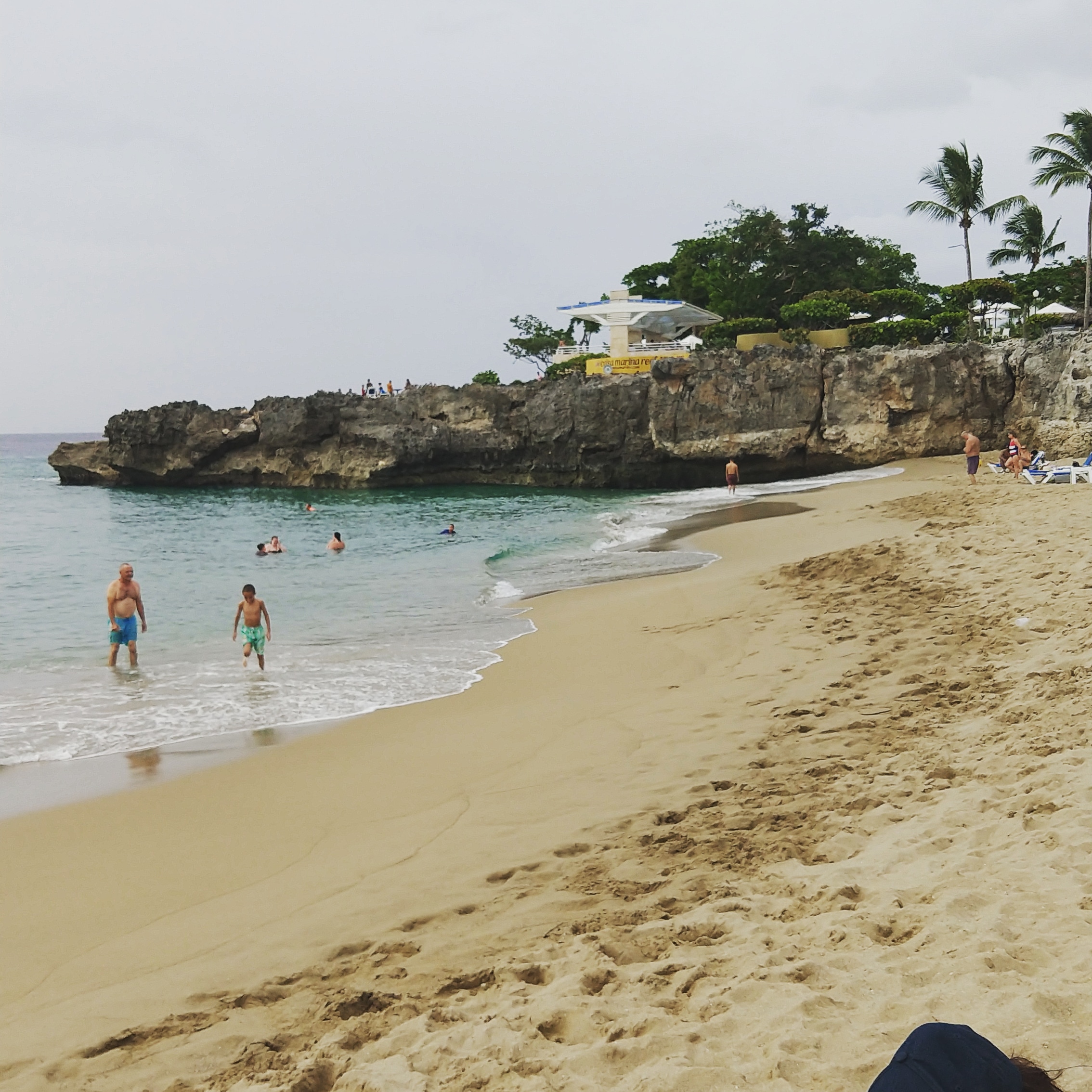 Steemit banner for @dominican