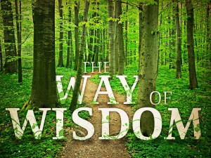 wayofwisdom-300x225.jpg