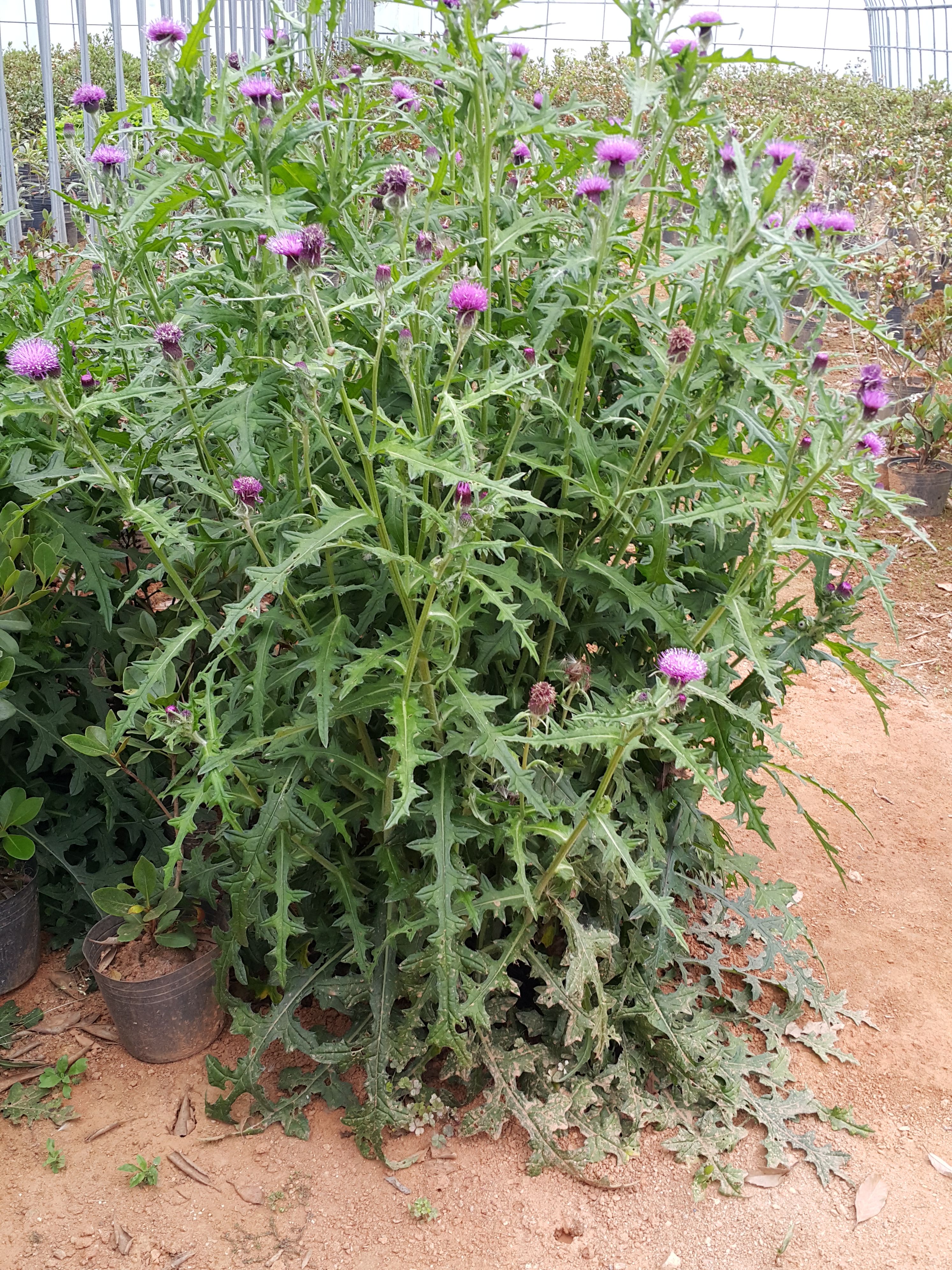 20150518_090807.jpg