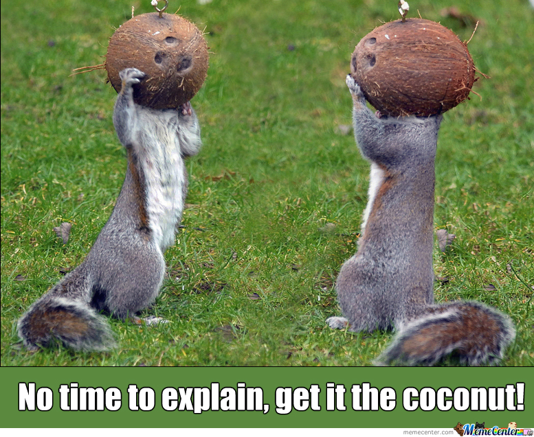 get-in-the-coconut_o_2196623.jpg