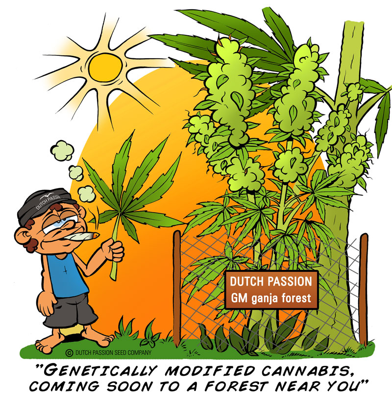 Genetic-Cannabis.jpg