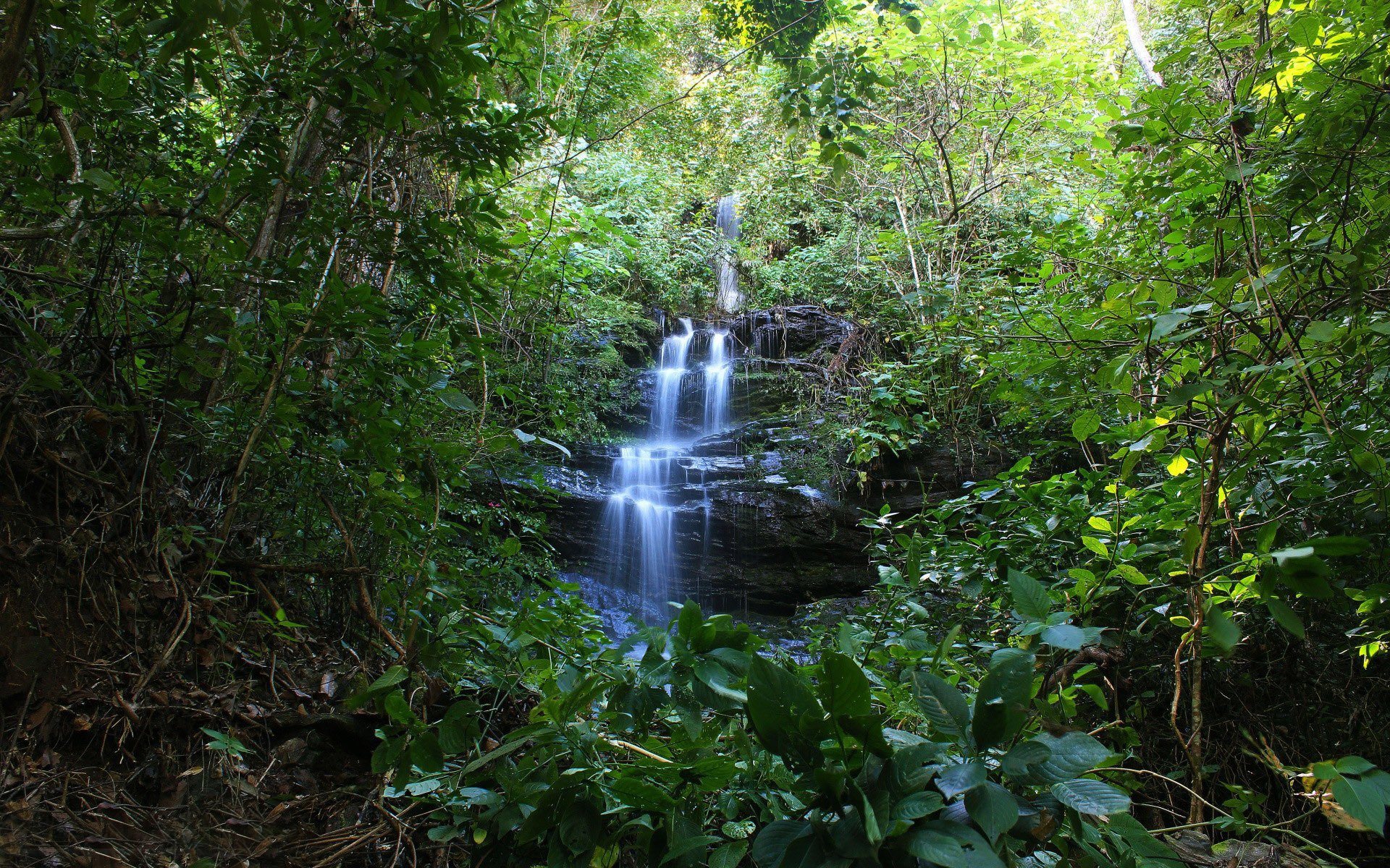 waterfall-tree-rock.jpg