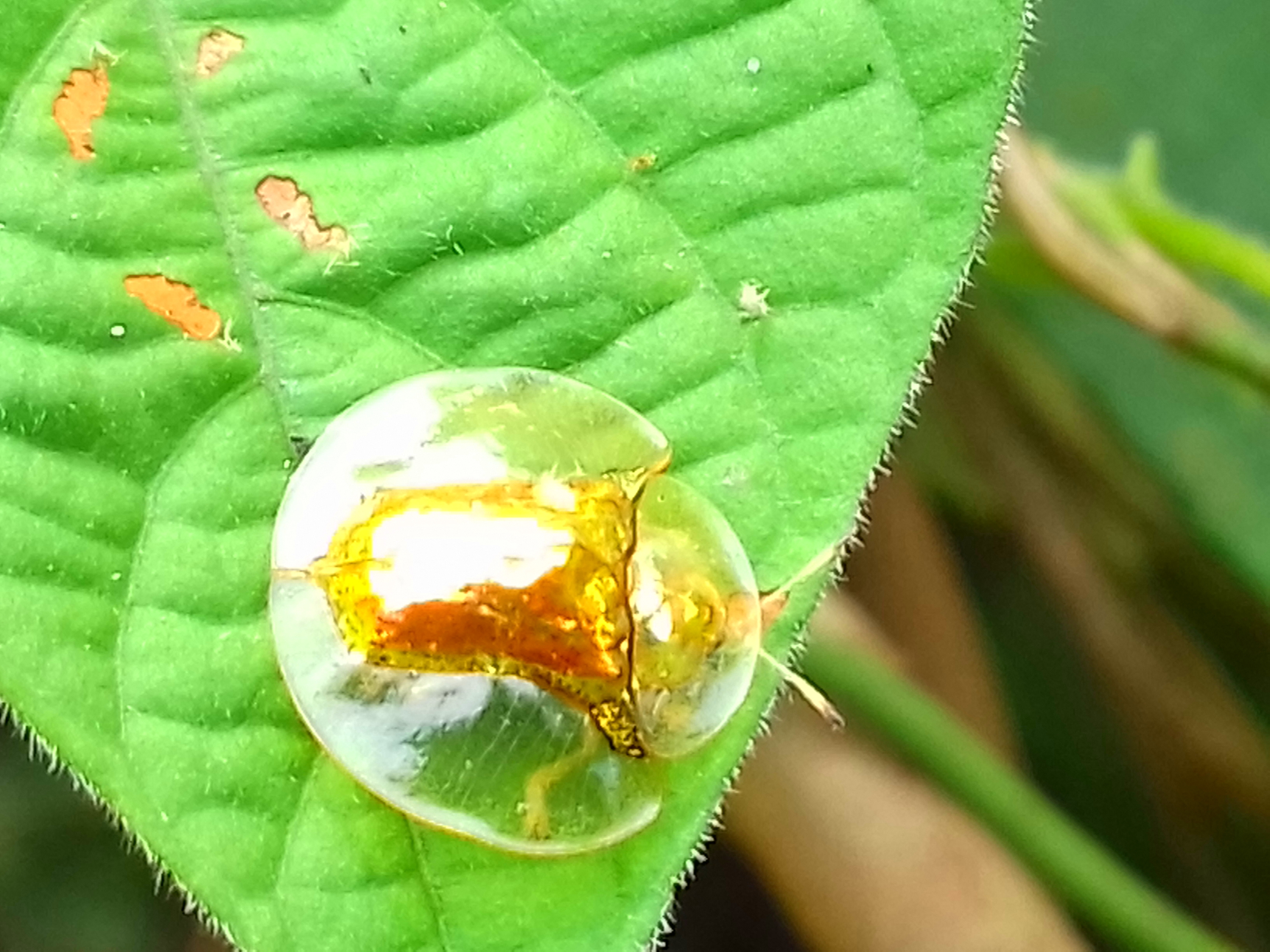 20180308_132233.jpg