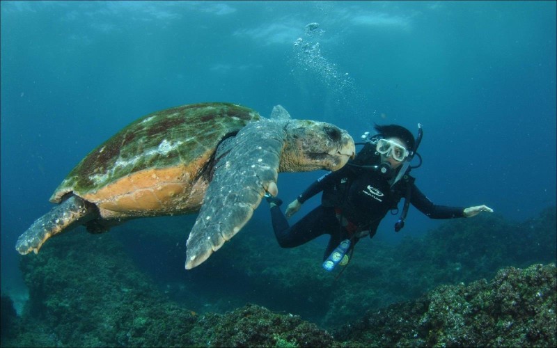 buceando-con-la-tortuga-marina.jpg