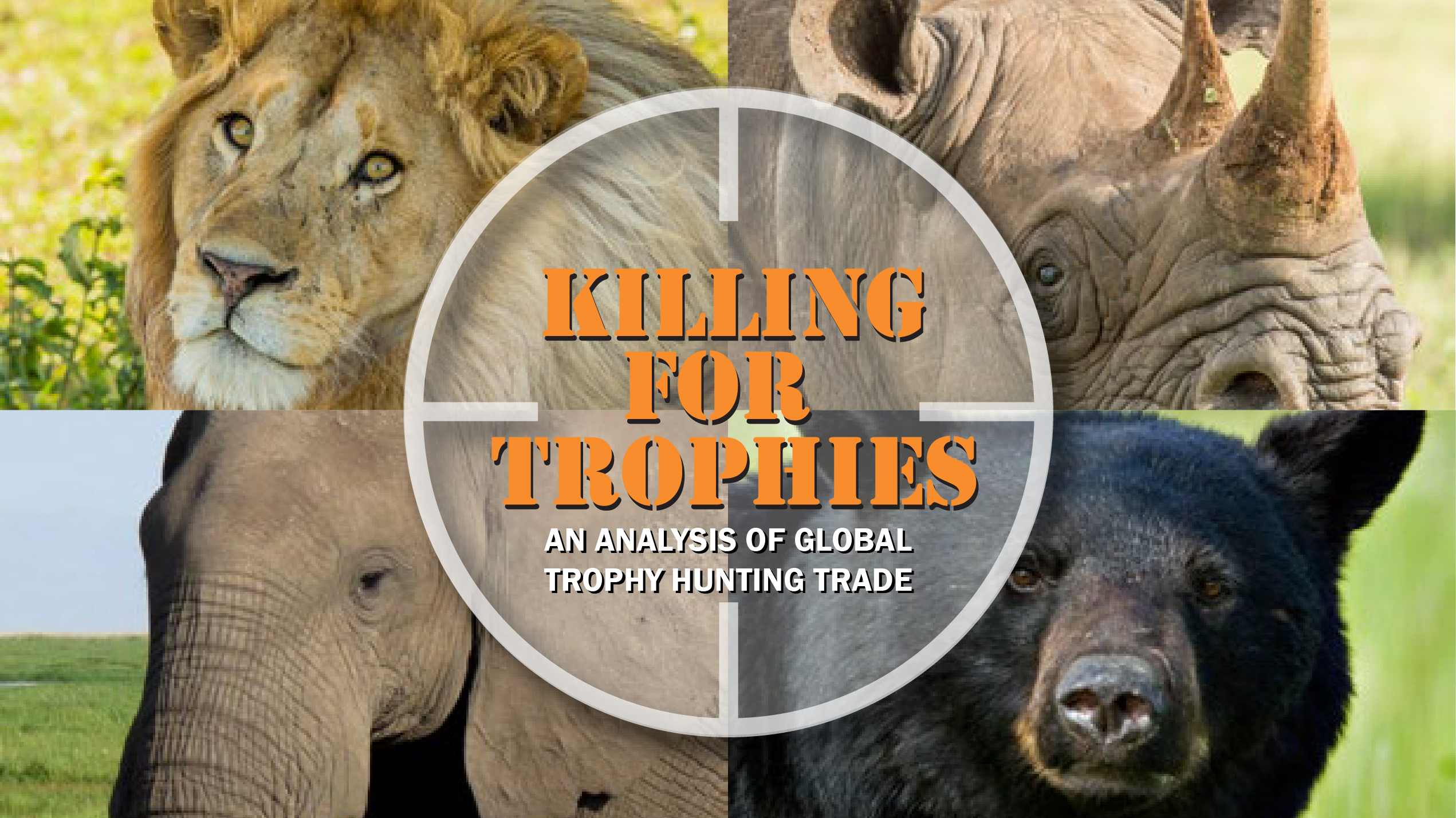 blog_trophy_hunting_report-01.jpg