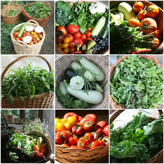 Garden Produce .jpg