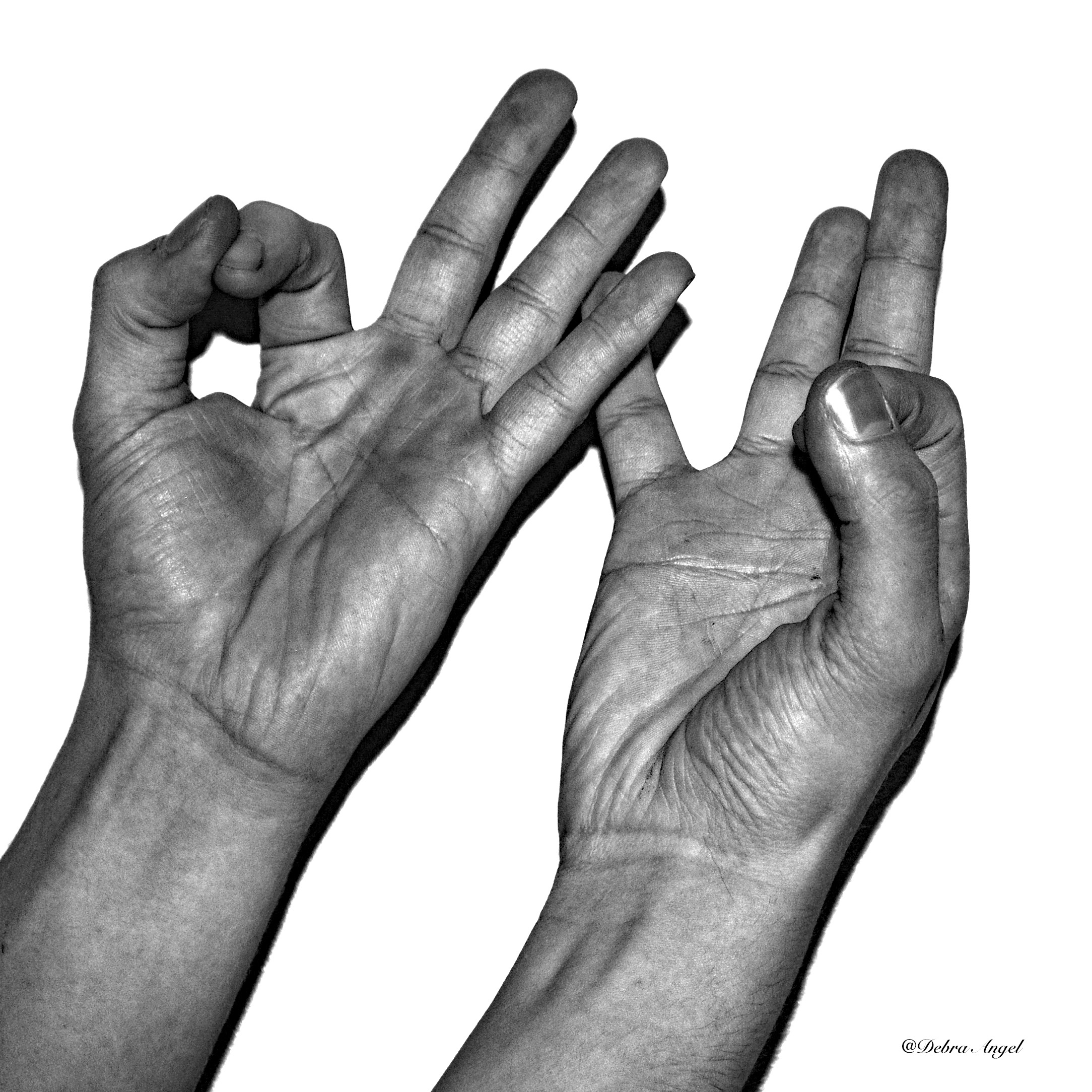 hands 1.jpg