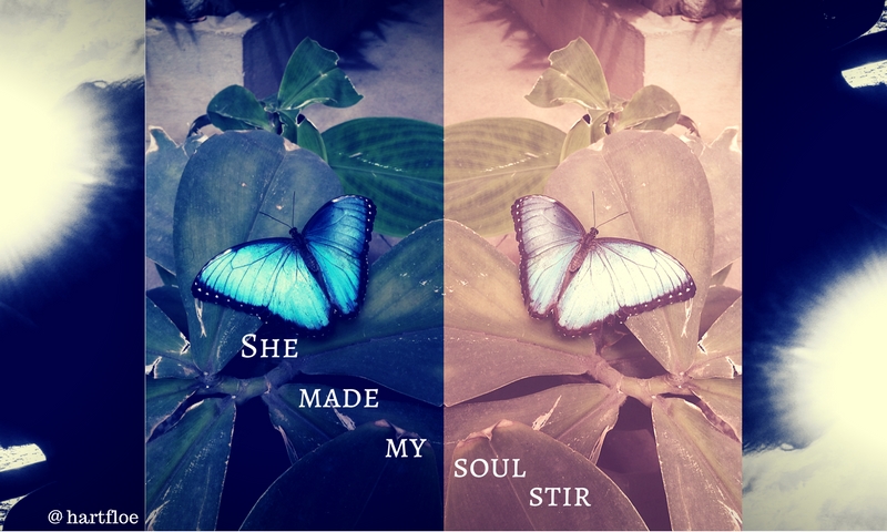 Butterfly 50 Word Poem Competition.jpg