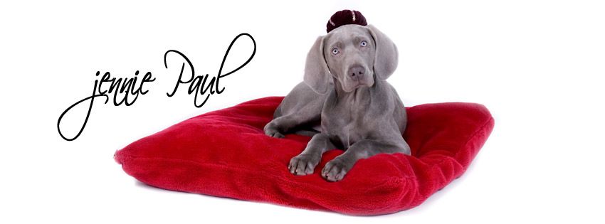 070119WeinmaranerPup26FBcover.jpg