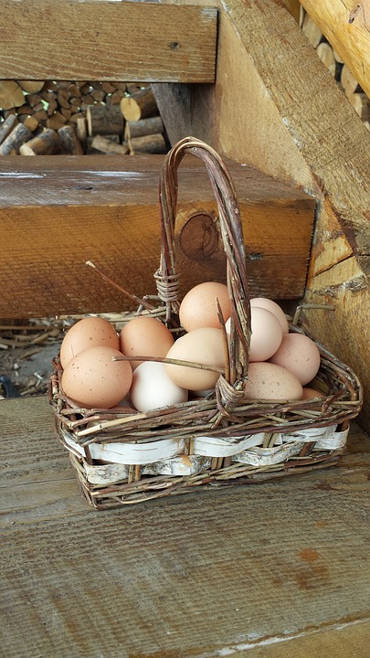 eggs-in-one-basket-2456902_960_720.jpg