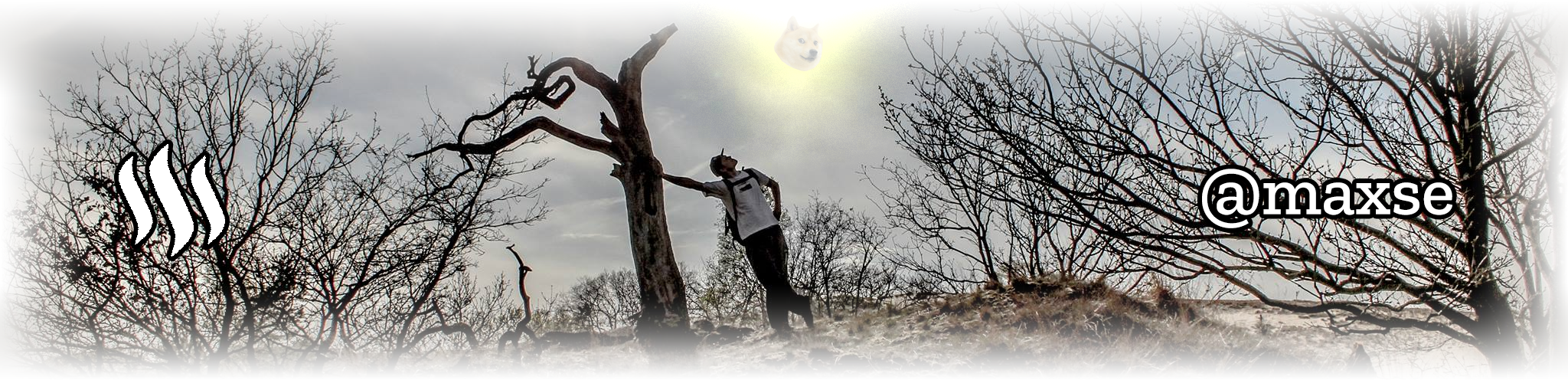 maxse website steemit