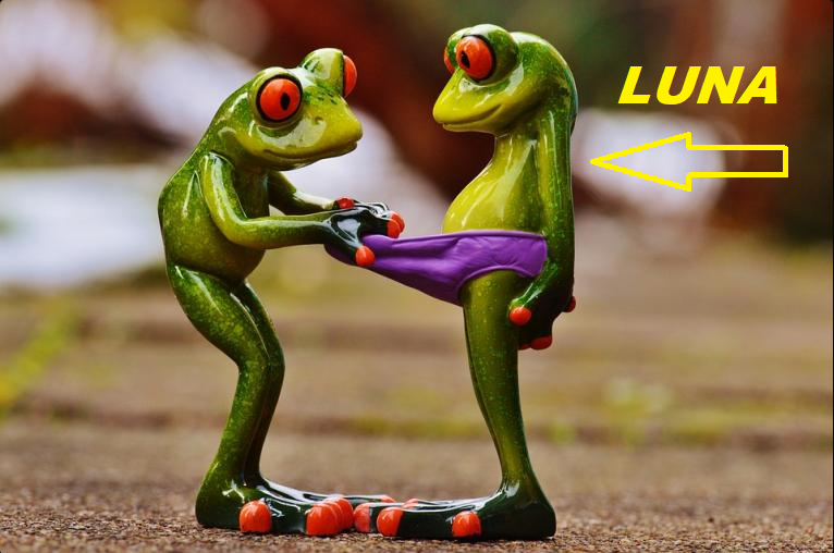 Luna Frog.png