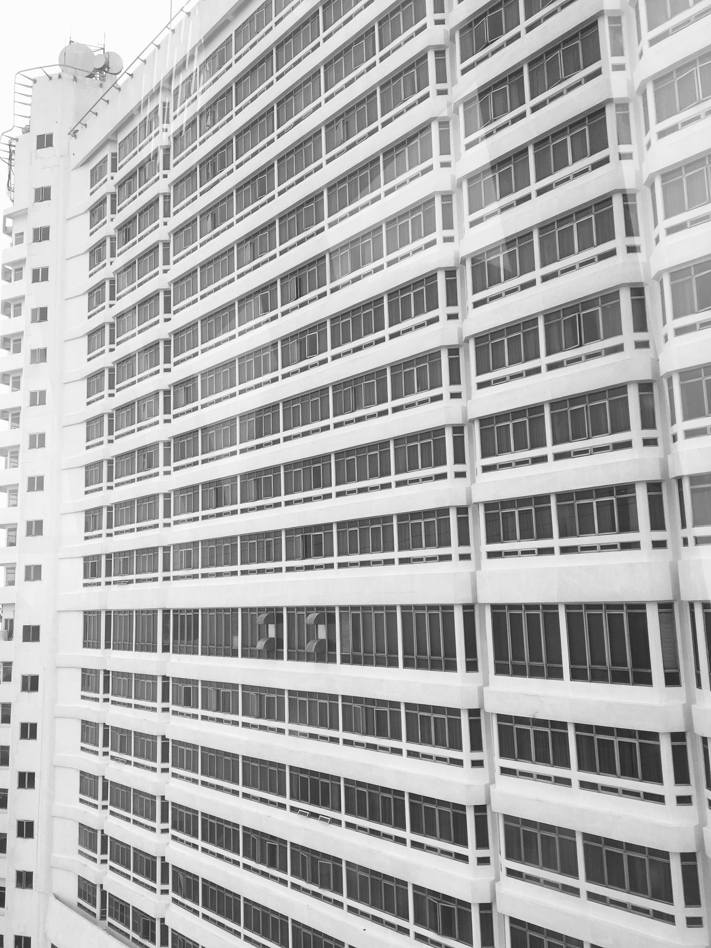IMG_E3237.JPG