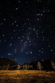 dd0208046e01dbf50b42e7155a106e96--starry-night-sky-night-skies.jpg