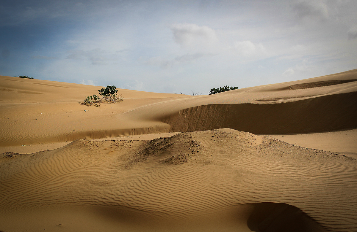 Medanos_2124.jpg