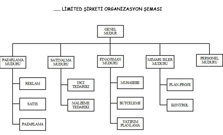 şirket.jpg