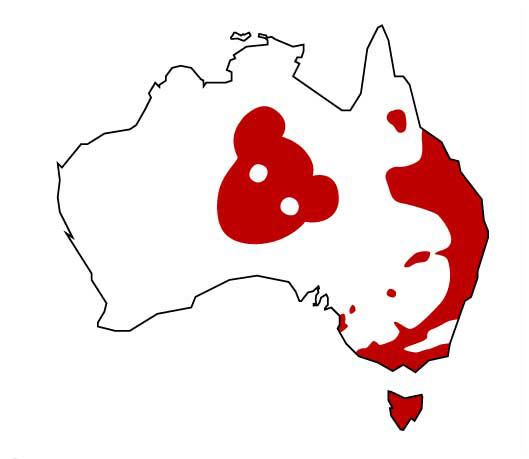 drop bear map.jpg