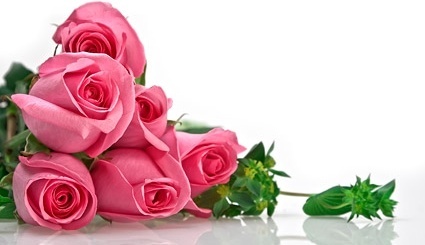 pink_roses_bouquet_picture_166711.jpg