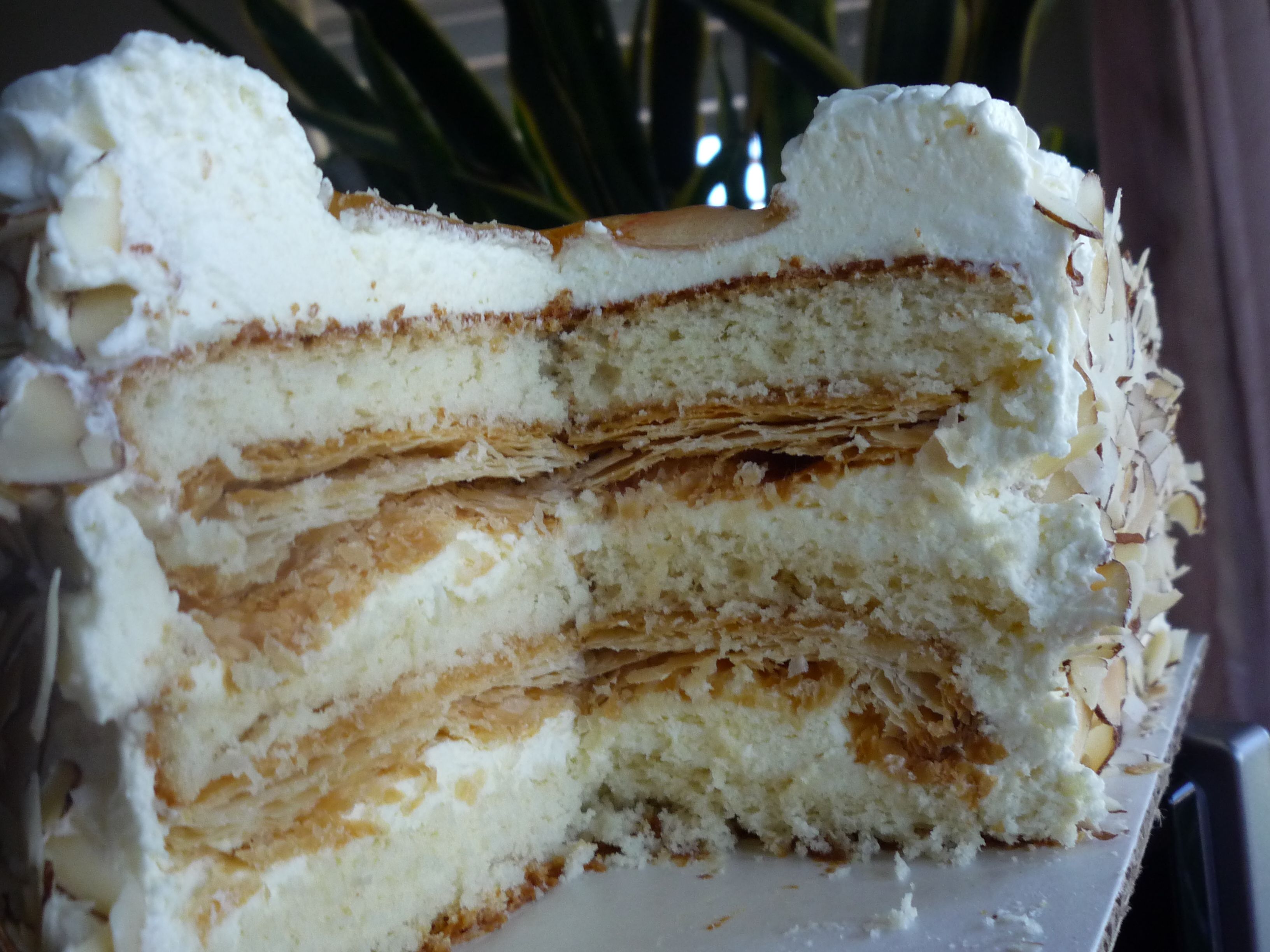 Diplomat cake 10