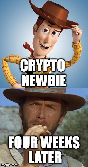 crypto newbie.png