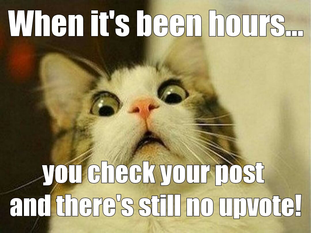 U5dt4iPpHwML3uBP4QHBsmf3qFjwVsm_1680x8400_1497499282382.jpg