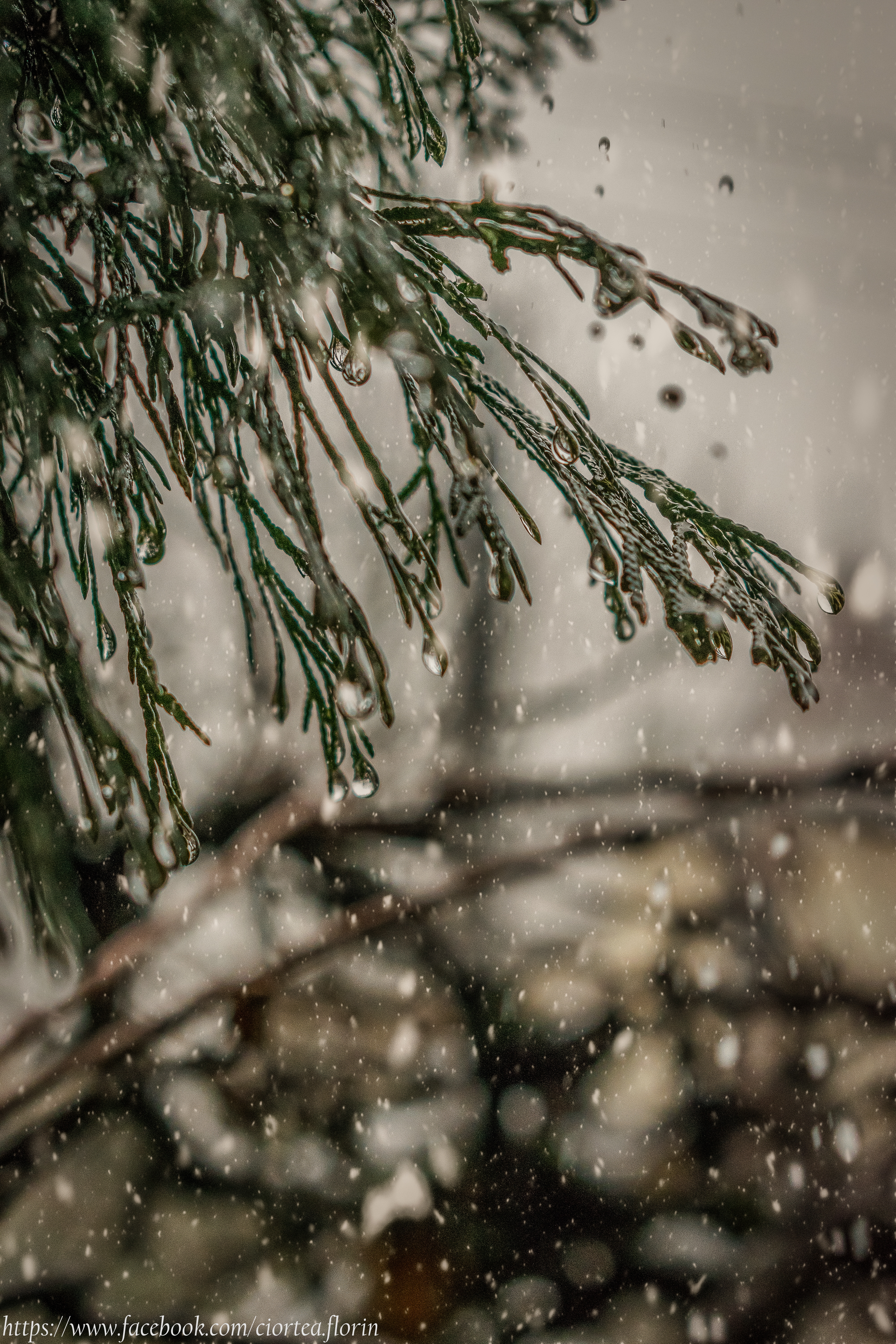DSC_0198-Edit.jpg