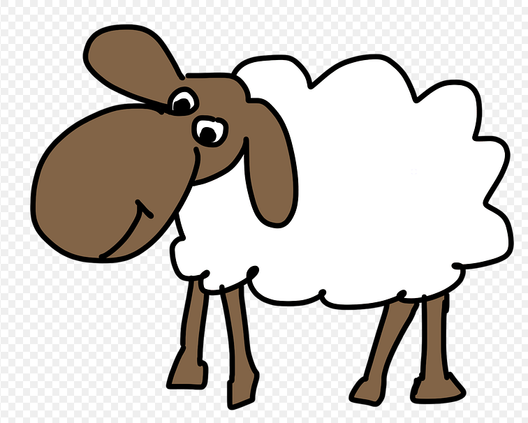 sheep.png