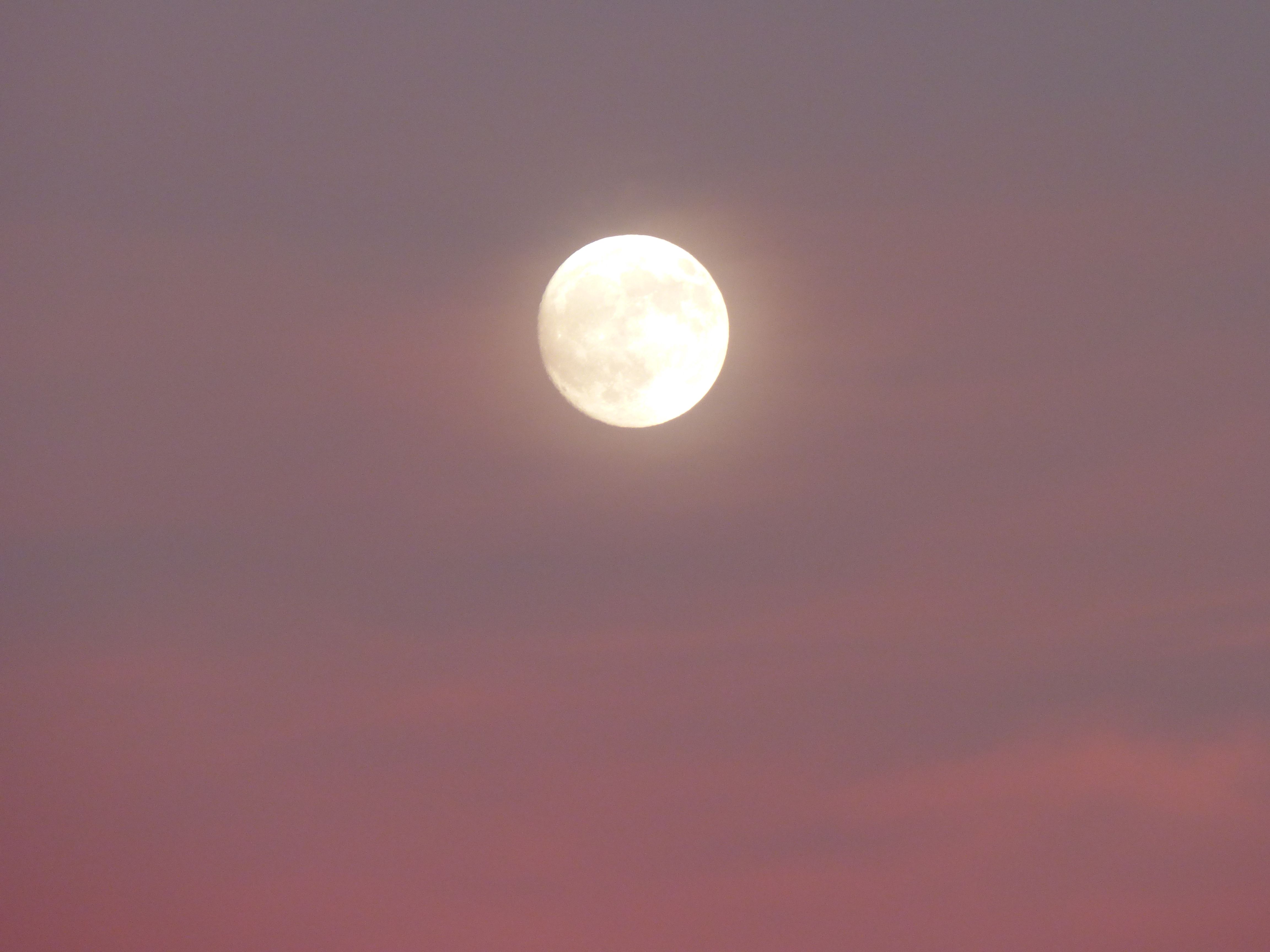 pinkmoon 058.JPG