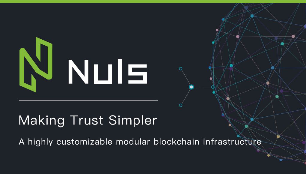 nuls-1.jpg