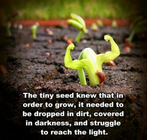 Struggle_Quotes1101.jpeg