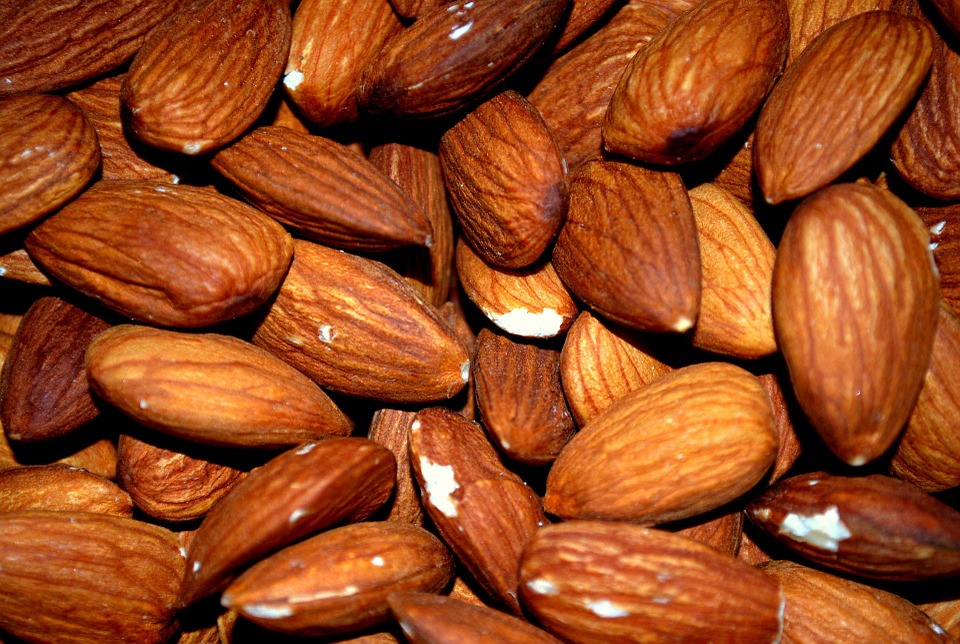 almond-83766_960_720.jpg