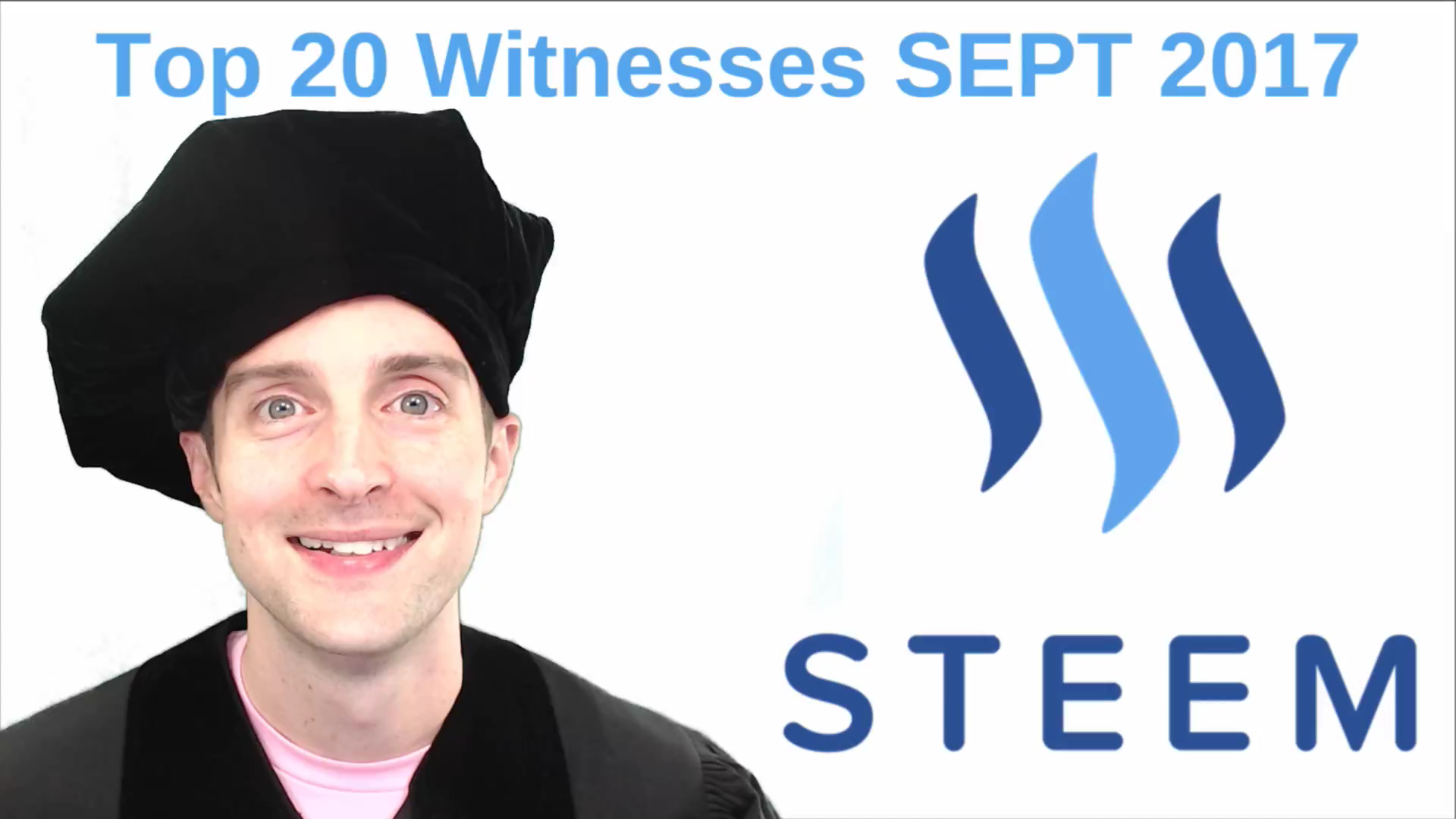 meet steem top 20 witnesses.png