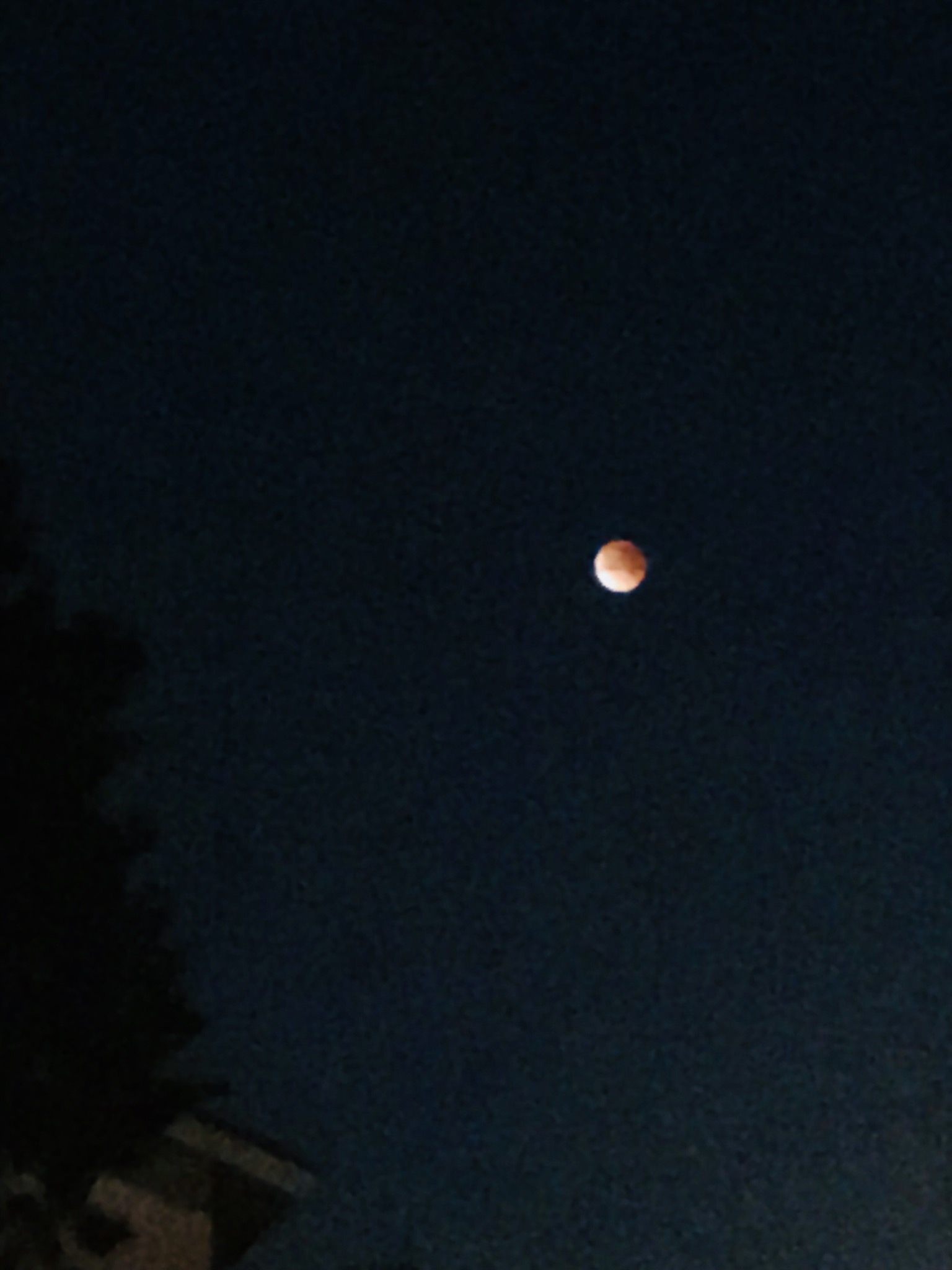 C7151B5E-5073-429D-ADD8-02D082FC193A.jpeg