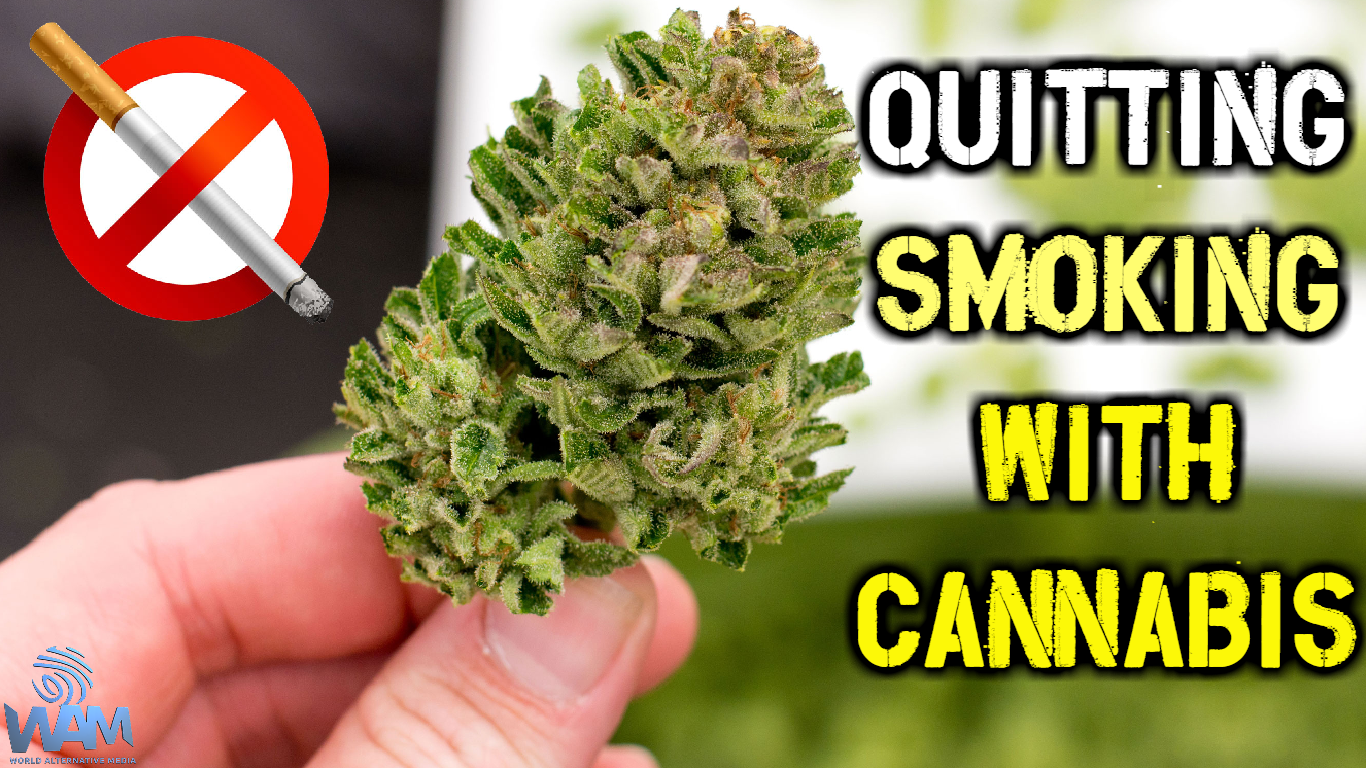 quitting smoking with cannabis thumbnail.png