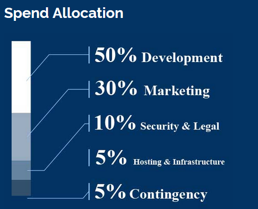 fund allocation.PNG