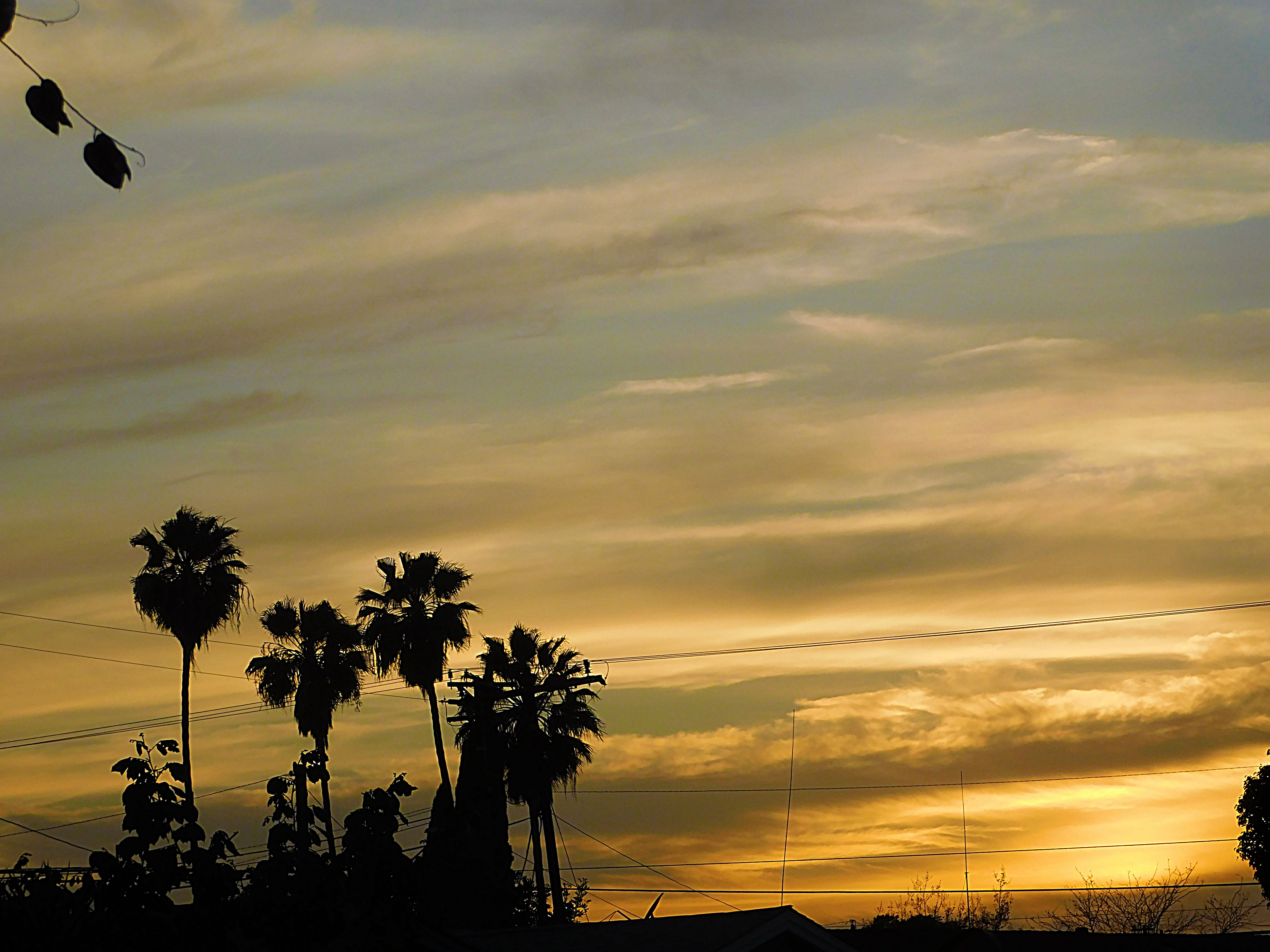 sunset, sunsetphotography, jeronimo rubio, 2018, nature, naturephotography (160).JPG