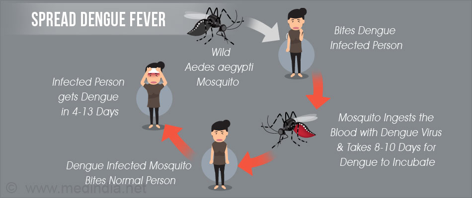 spread-dengue-fever.jpg