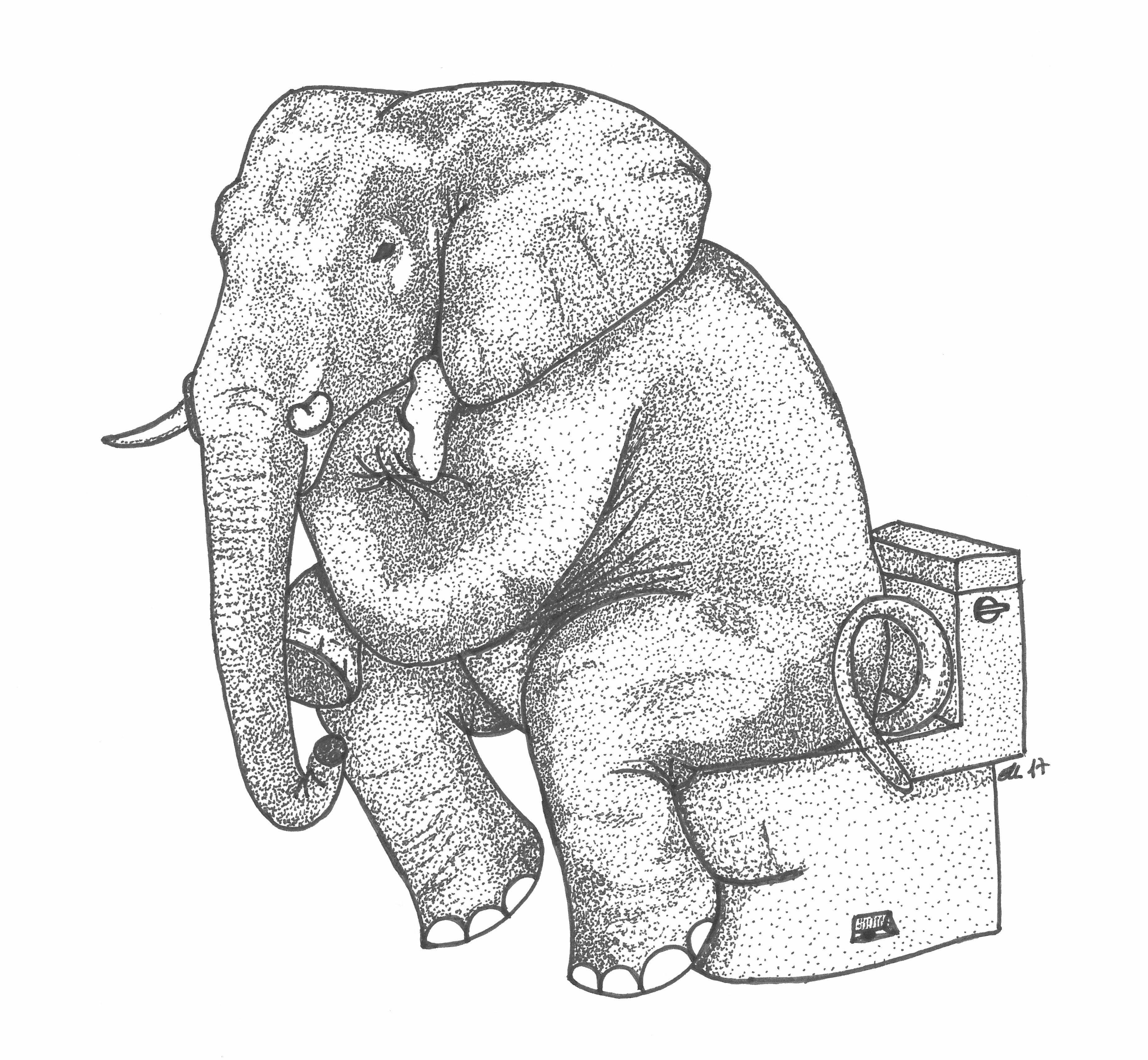 elephant.jpg