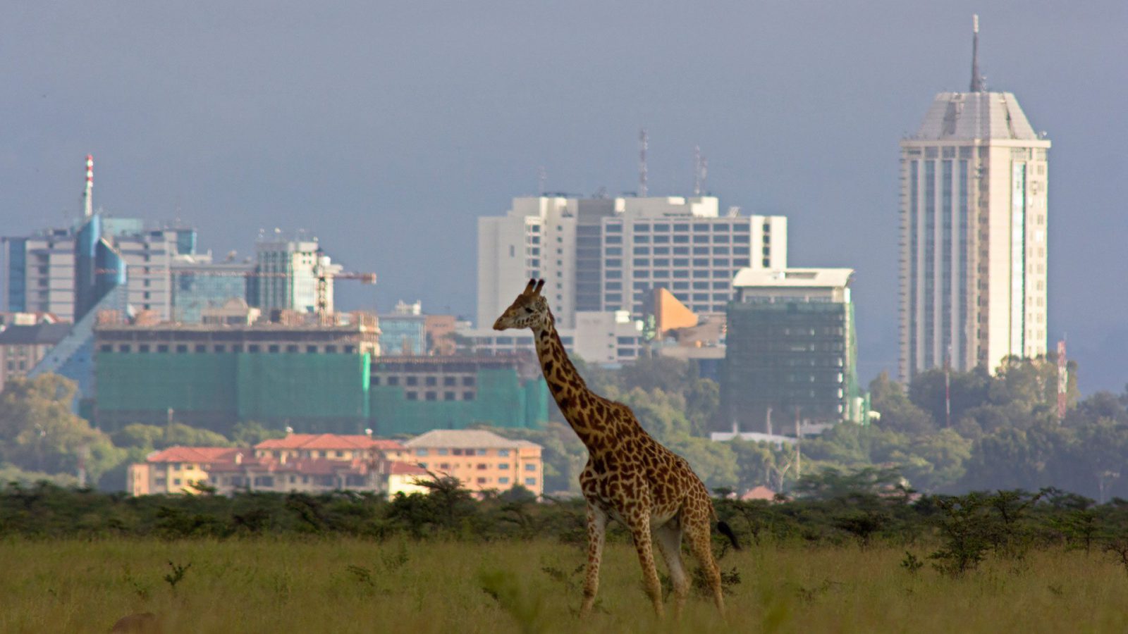 Nairobi.jpg