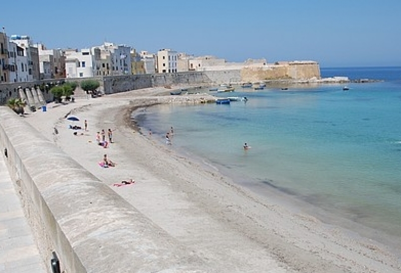 1435672151-0-trapani-prosegue-la-rimozione-delle-alghe-dalle-spiagge-del-centro-storico.jpg