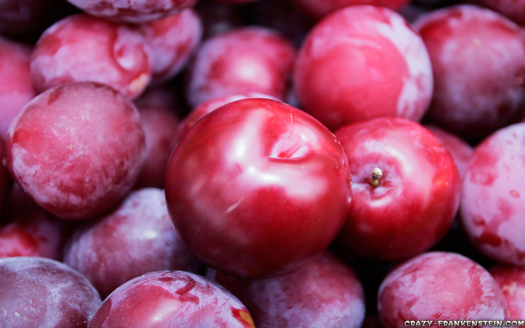 shiny-plums-wallpapers-1680x1050.jpg