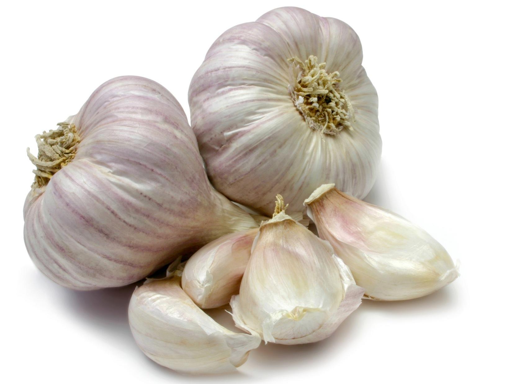 garlic.jpg