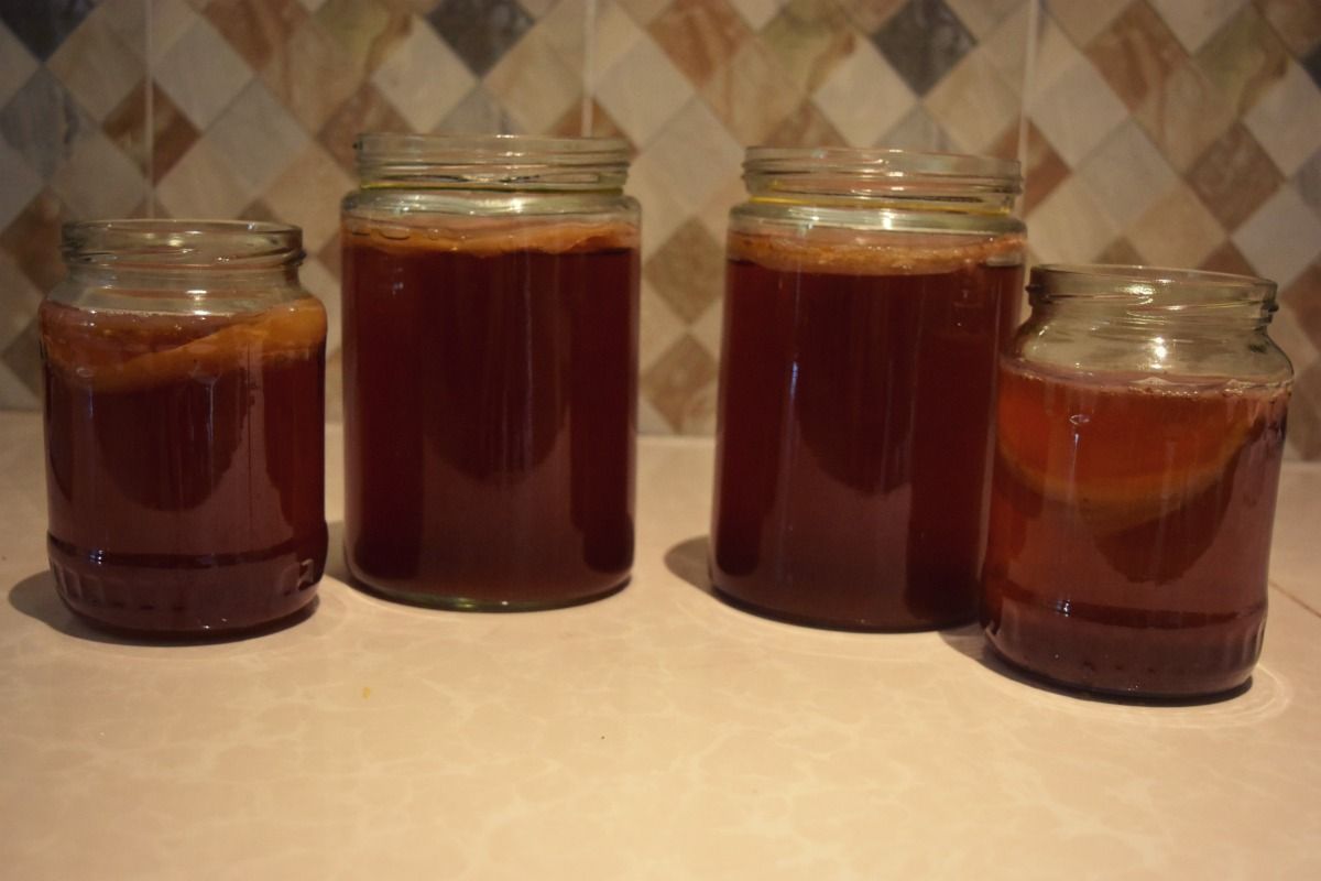 kombucha-tea-3.jpg