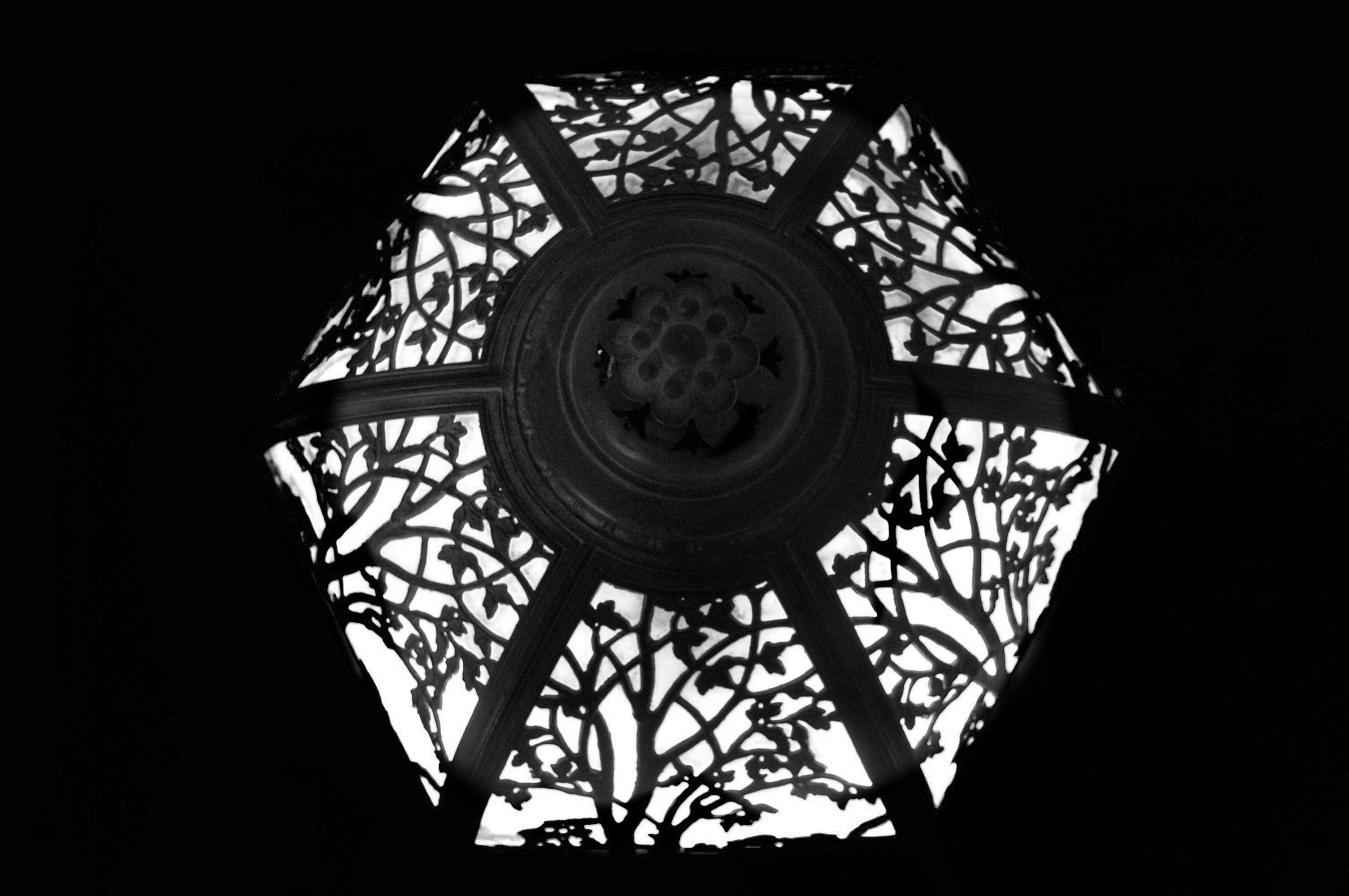 bf DSC_0673.jpg