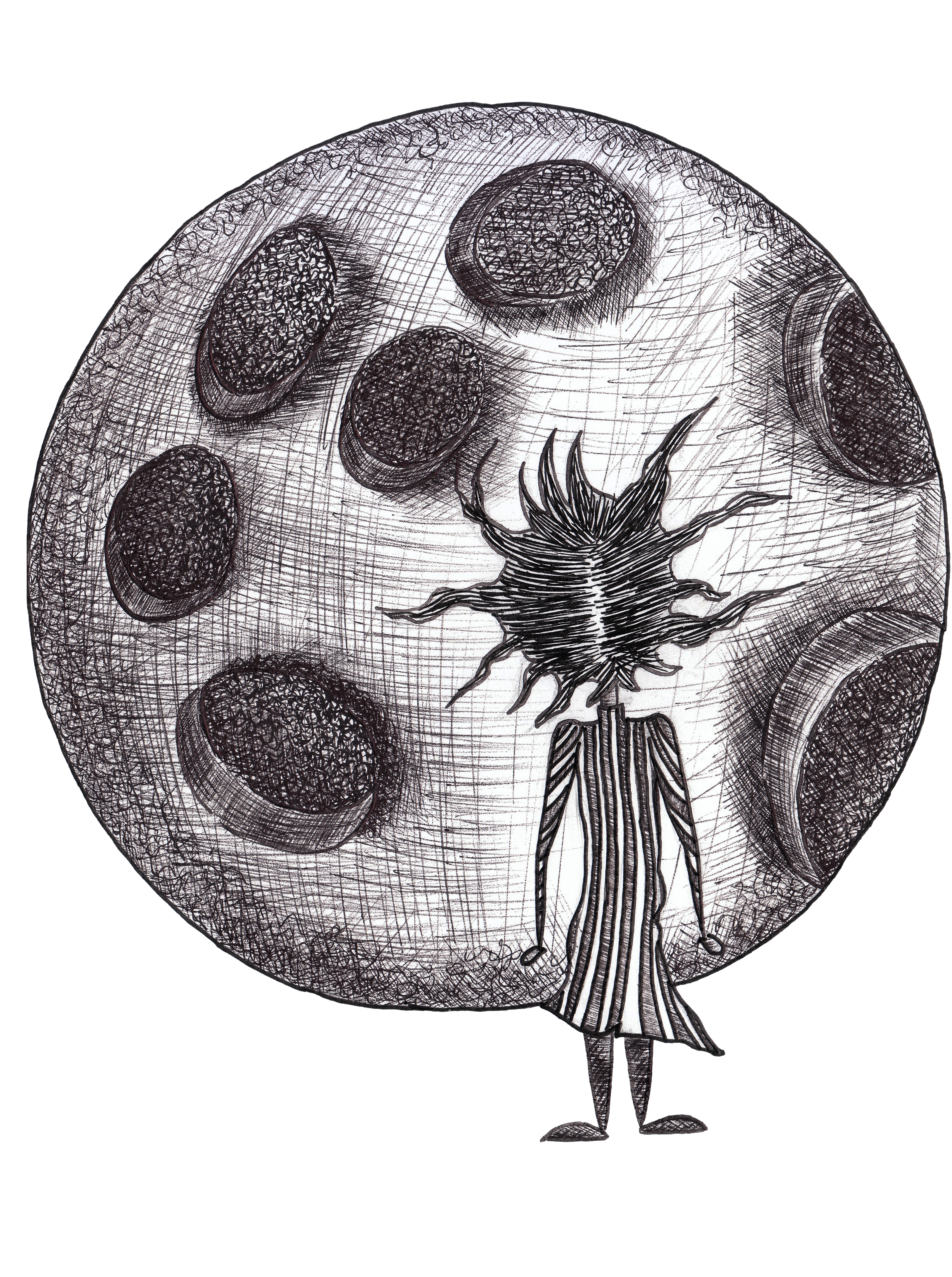 IMGlunaaa.png