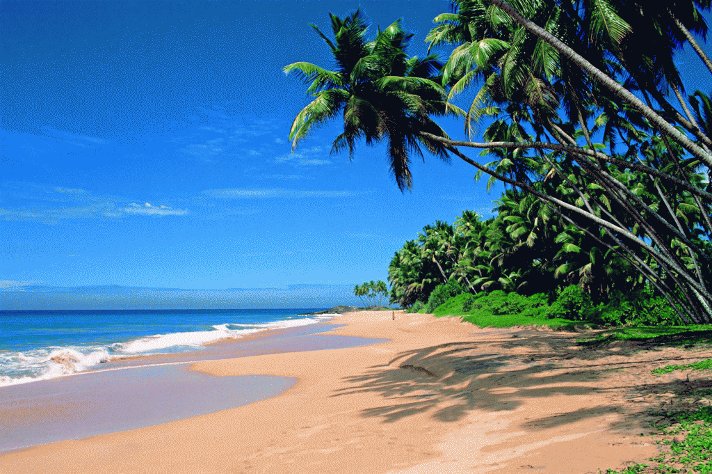 goa-1024x681.gif.png